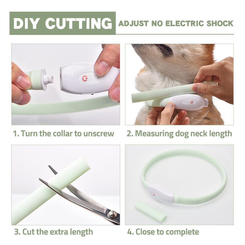 Adjustable LED Collar