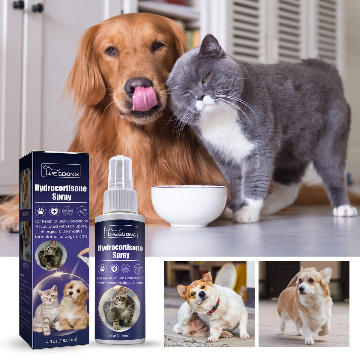 Hydrocortisone Spray