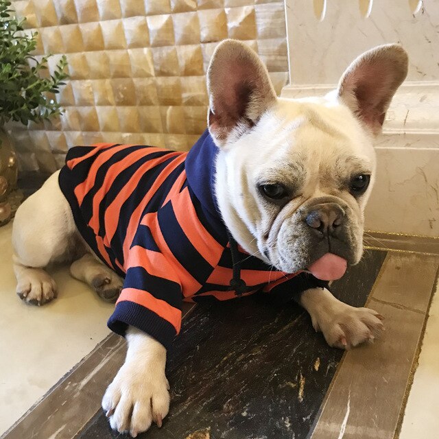 Striped Dog Hoodie