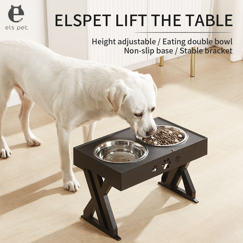 Raised Double Stainless Steel Bowls