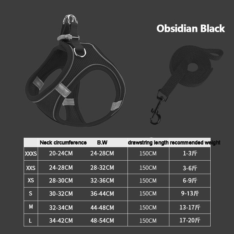 Reflective Harness
