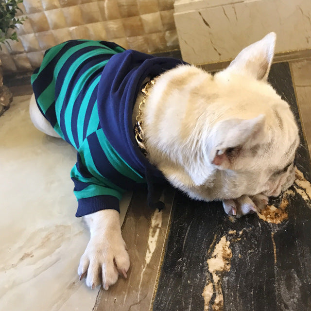 Striped Dog Hoodie