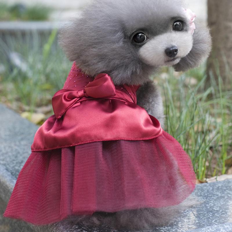 Rhinestone Tutu Dog Dress