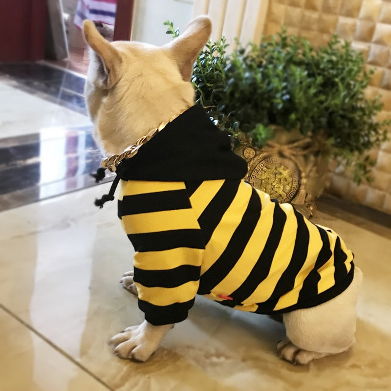 Striped Dog Hoodie