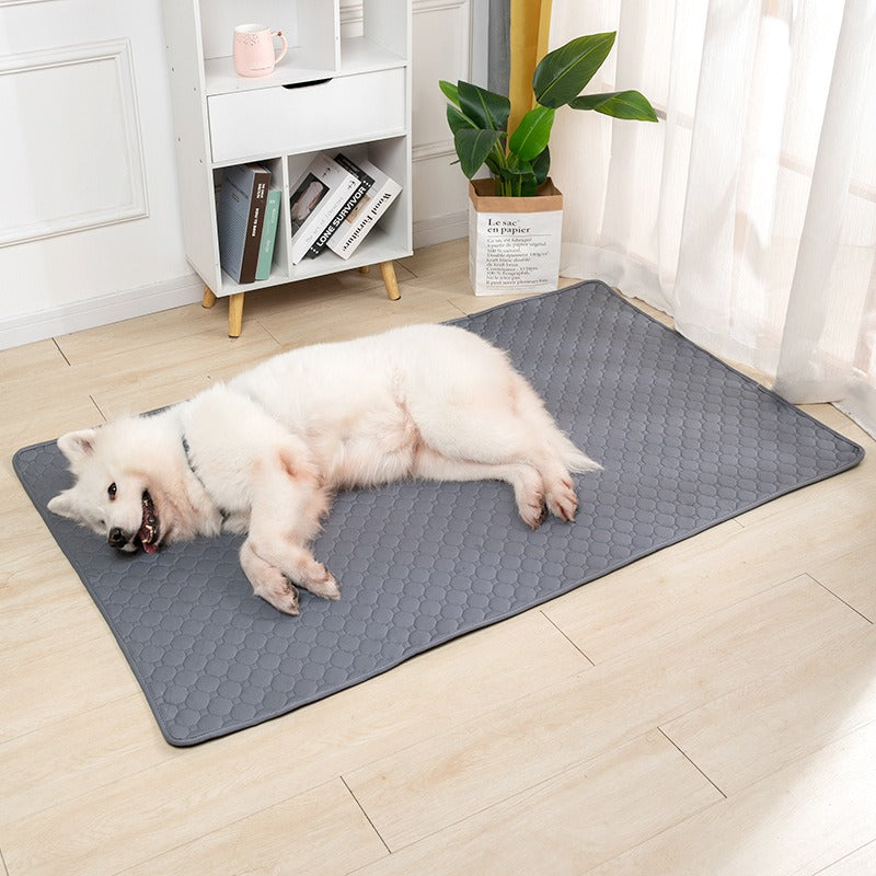 Washable Water Absorbing Pad