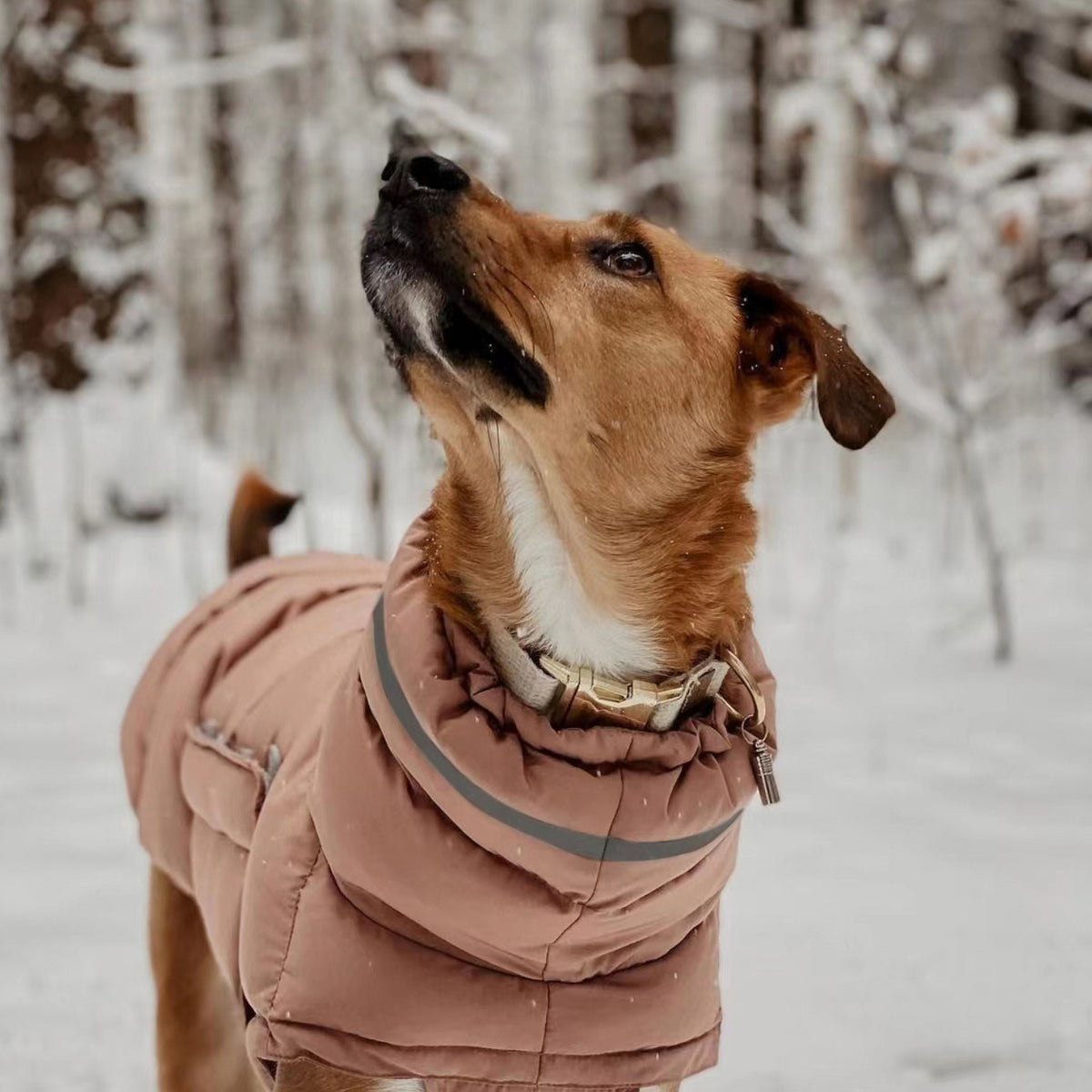 Thick Winter Jacket