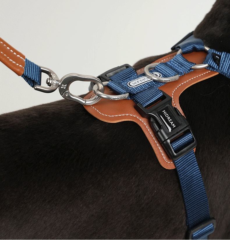 Y Front no pull harness/ Over the shoulder leash