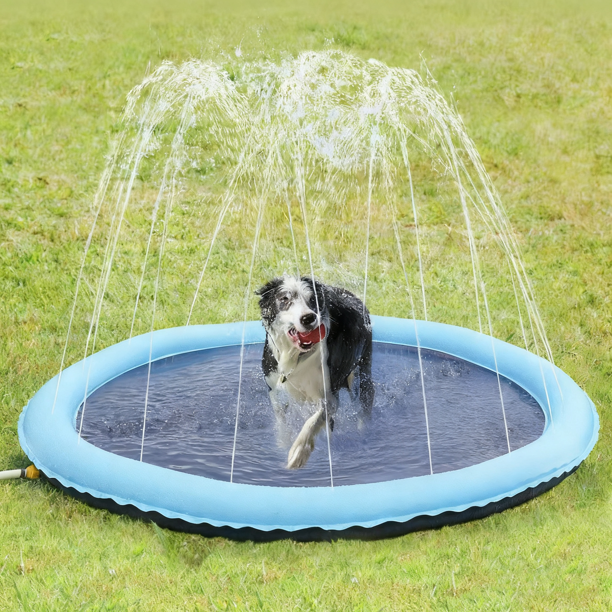 PVC Pet water spray mat