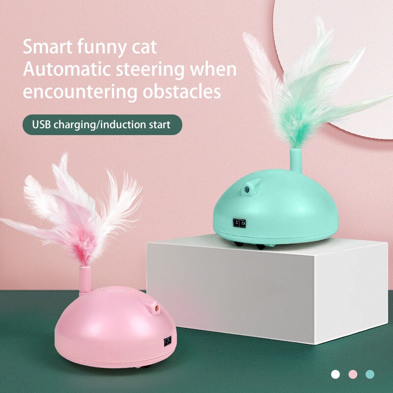 Roaming Cat toy with feather and laser