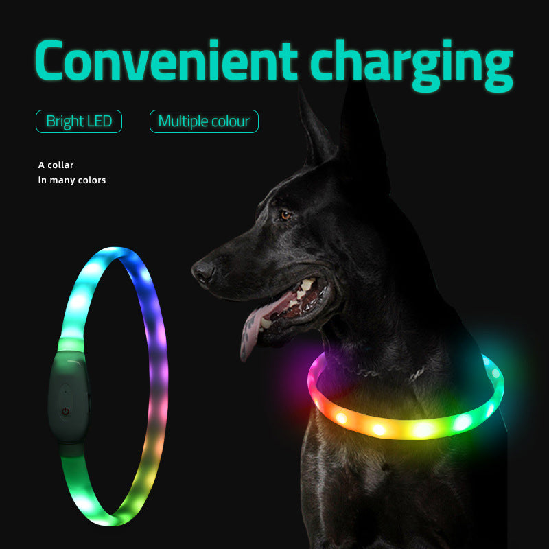 Adjustable LED Collar
