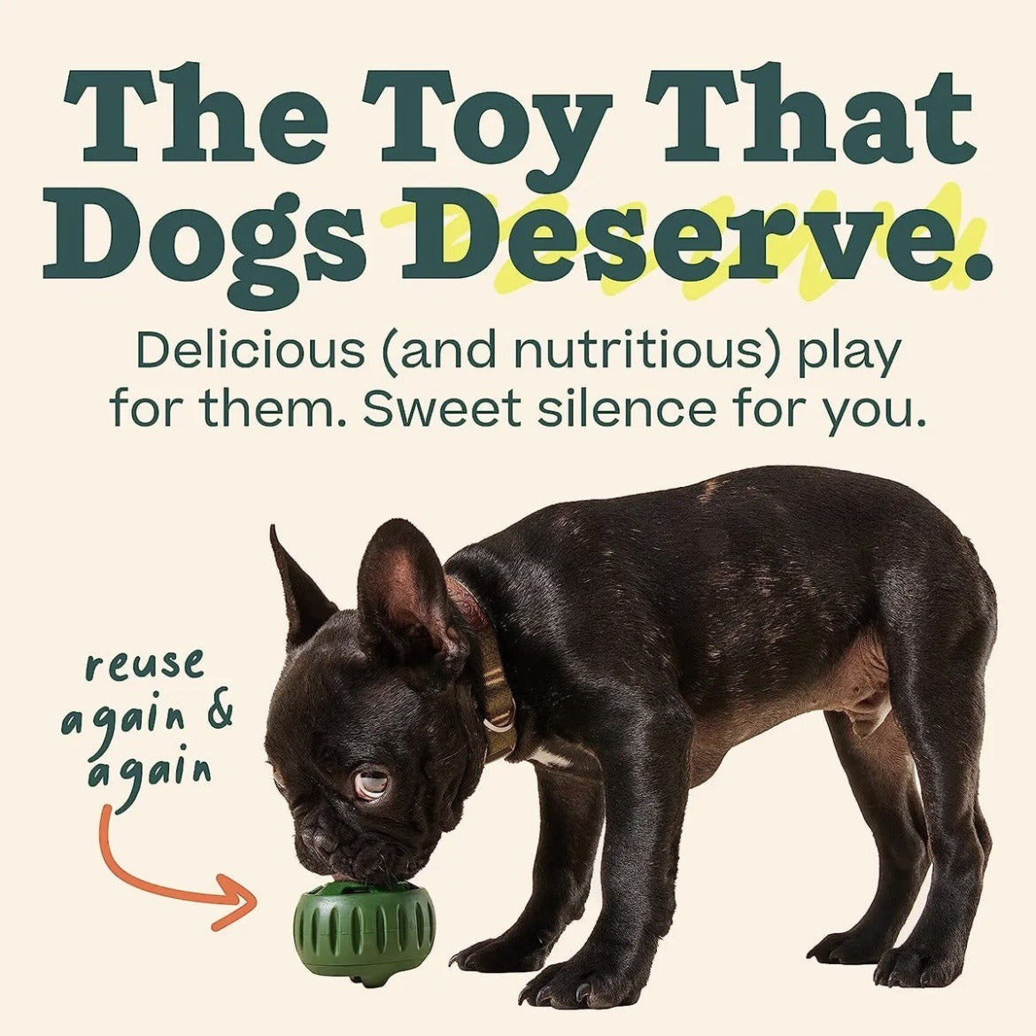 Treat Dispenser