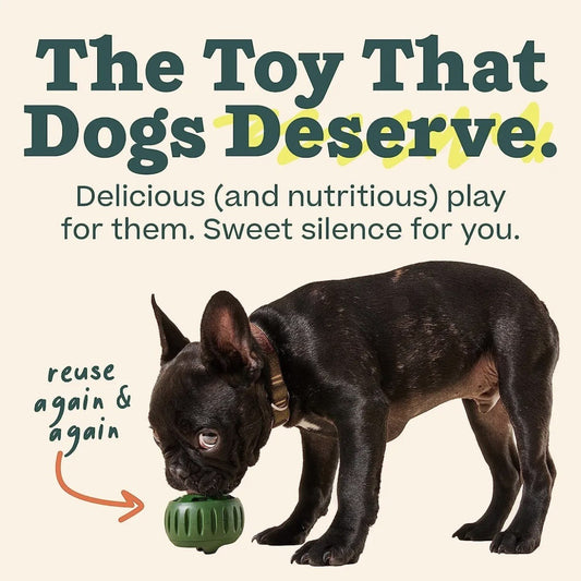 Treat Dispenser