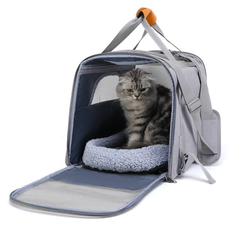 Cat/small dog carrier