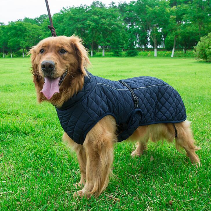 Winter Coat