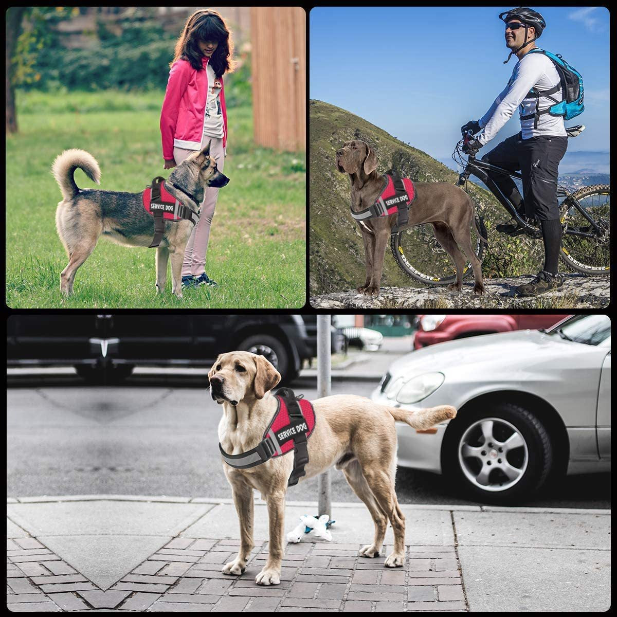 Velcro Patch Harness