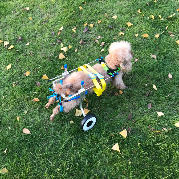 Lightweight 2 Wheel Dog Wheelchair