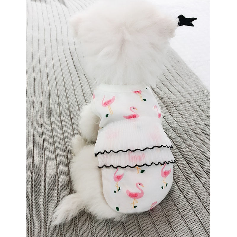 Spring/Summer Cute Shirt