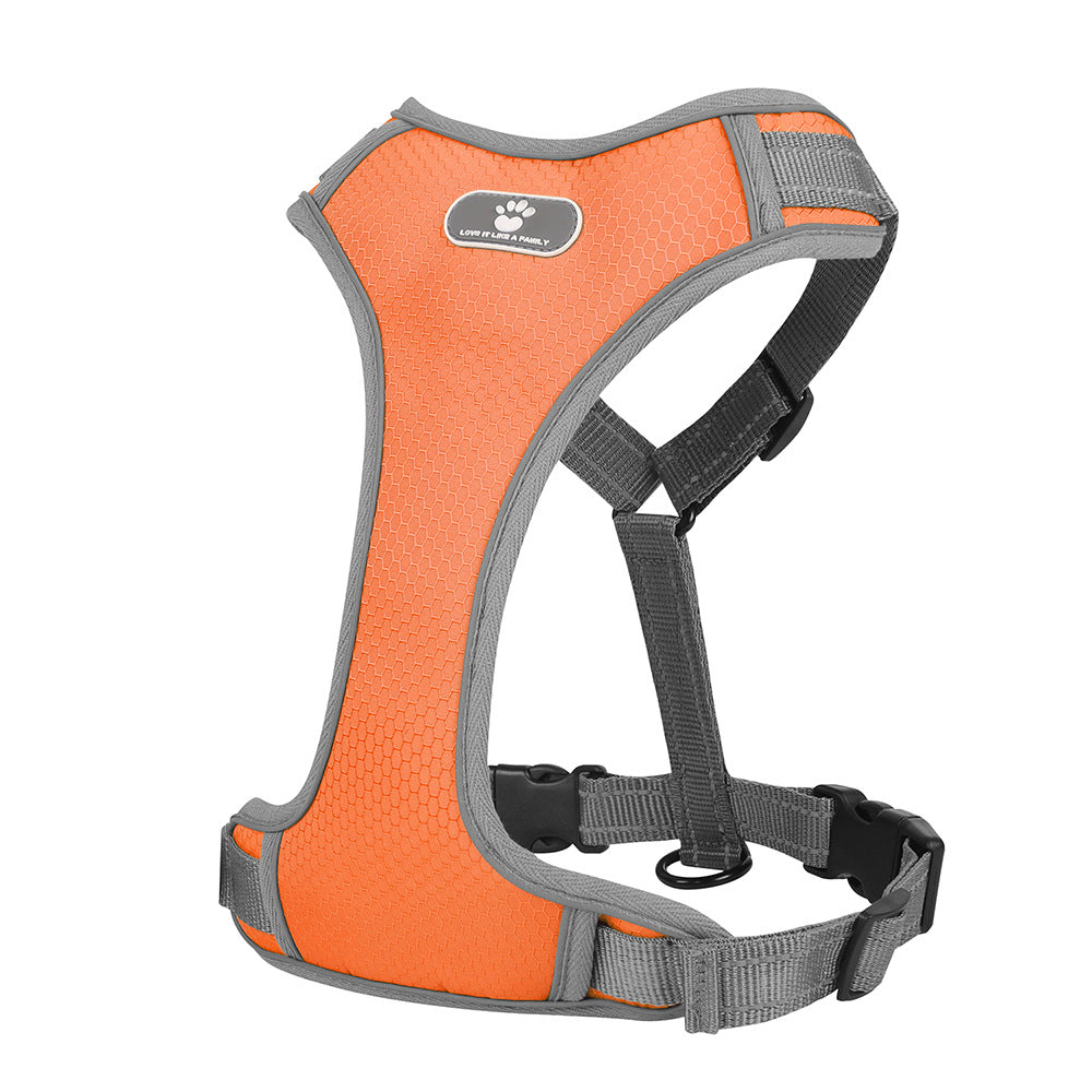 Y Front Harness