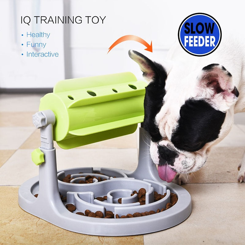 Interactive Slow Feeder