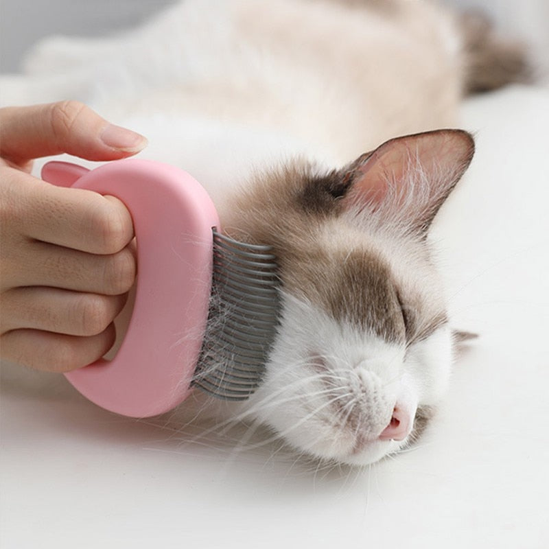 Claw Brush