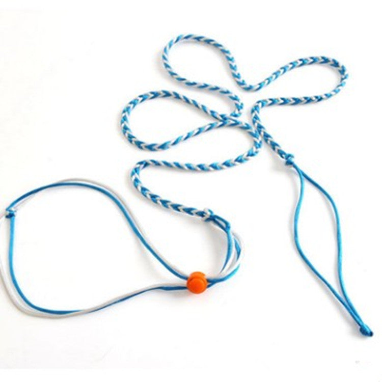 Hand-Woven Small Pet Leash