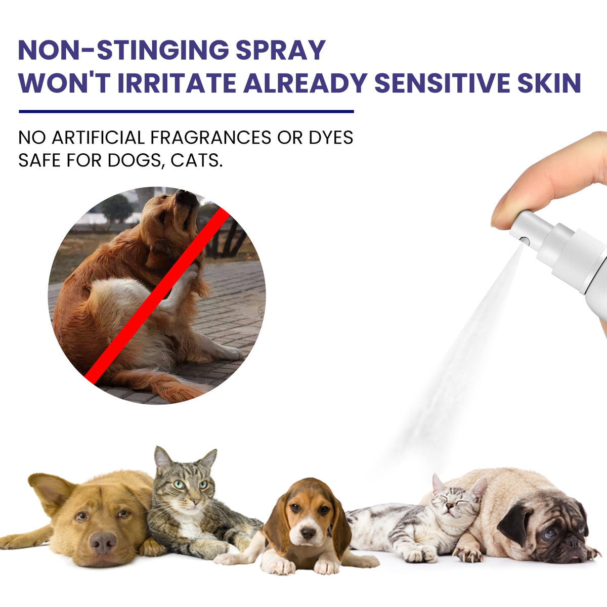 Hydrocortisone Spray