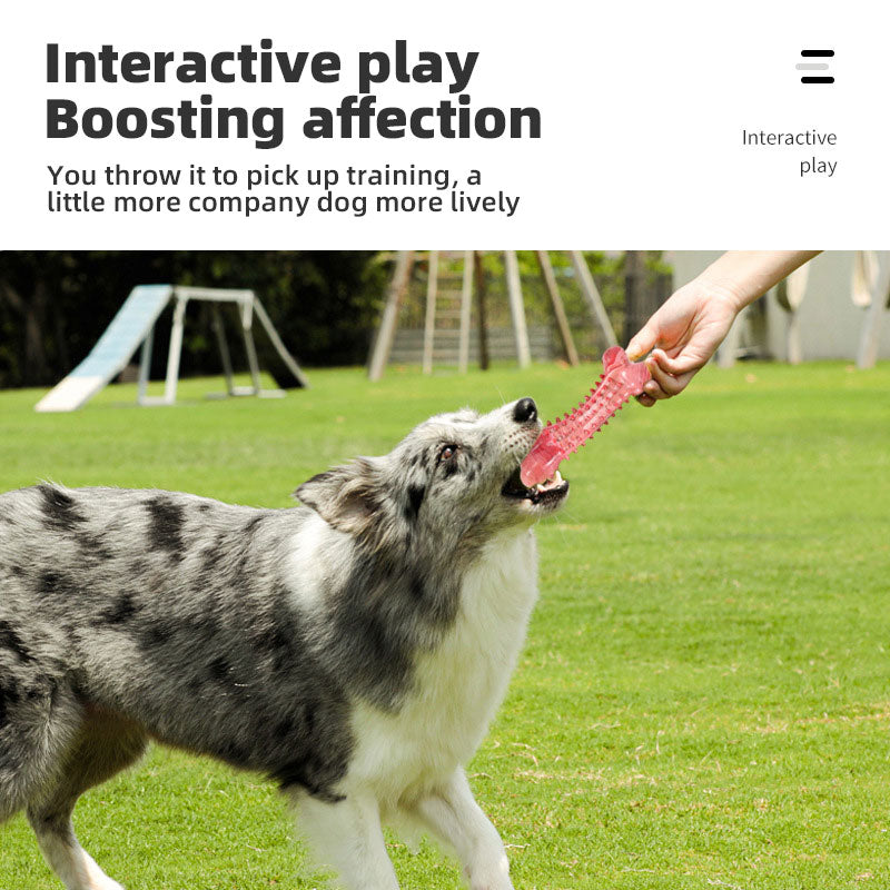 Rubber Chew Toy