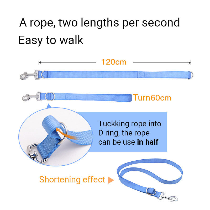 Leash
