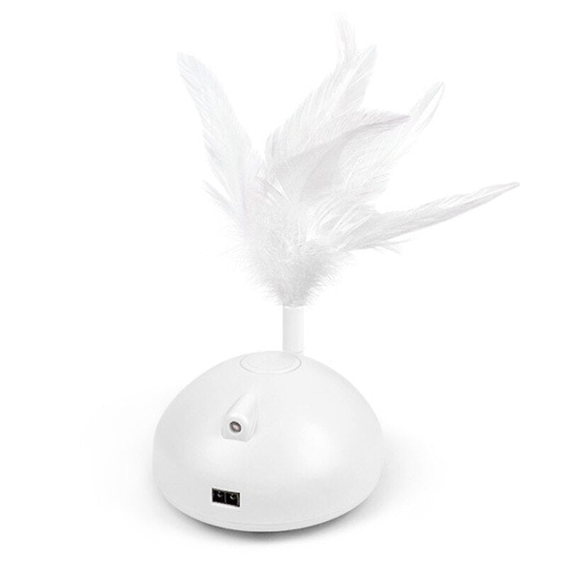 Roaming Cat toy with feather and laser