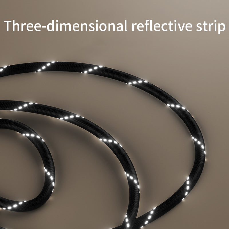 Dog Slip Lead with Flashlight/Bag Holder