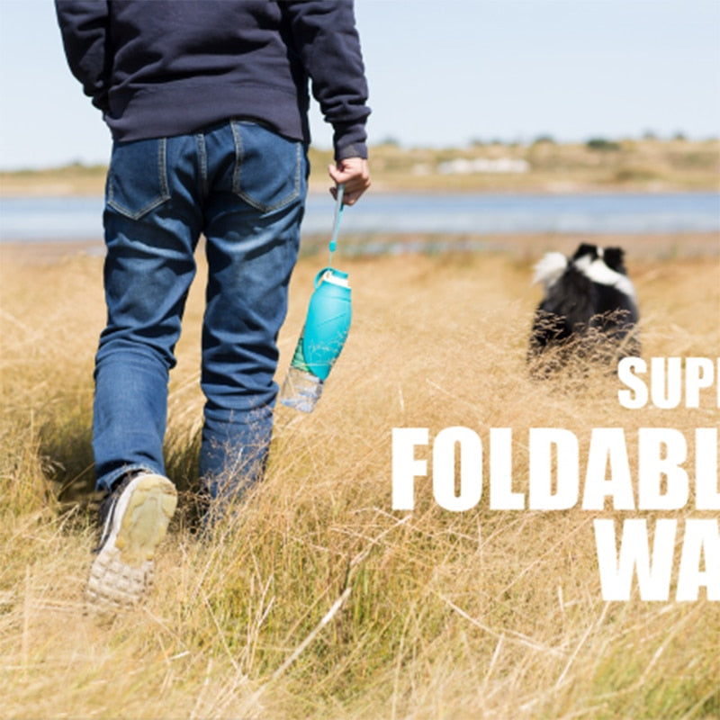 Portable Water Bottle Silicone Leaf Design