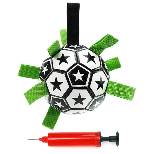 Dog soccer ball with grab tabs
