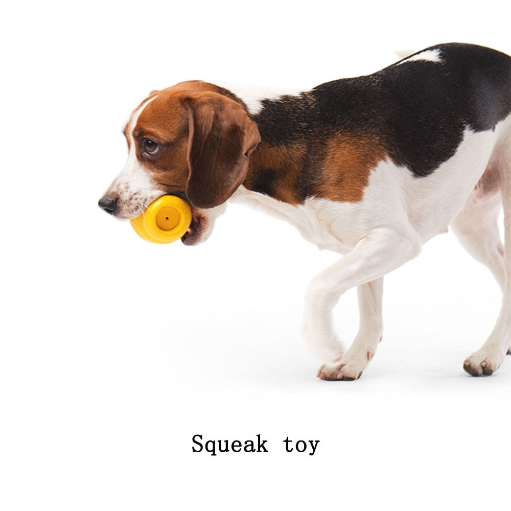 Treat Dispensing Squeaky Toy
