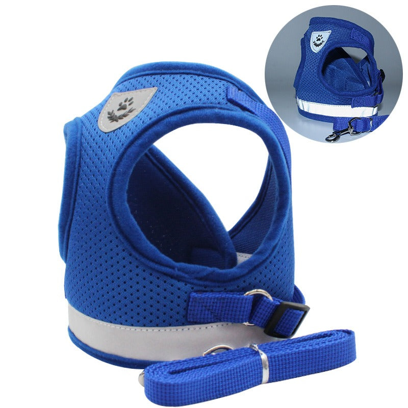 Harness/Leash Set