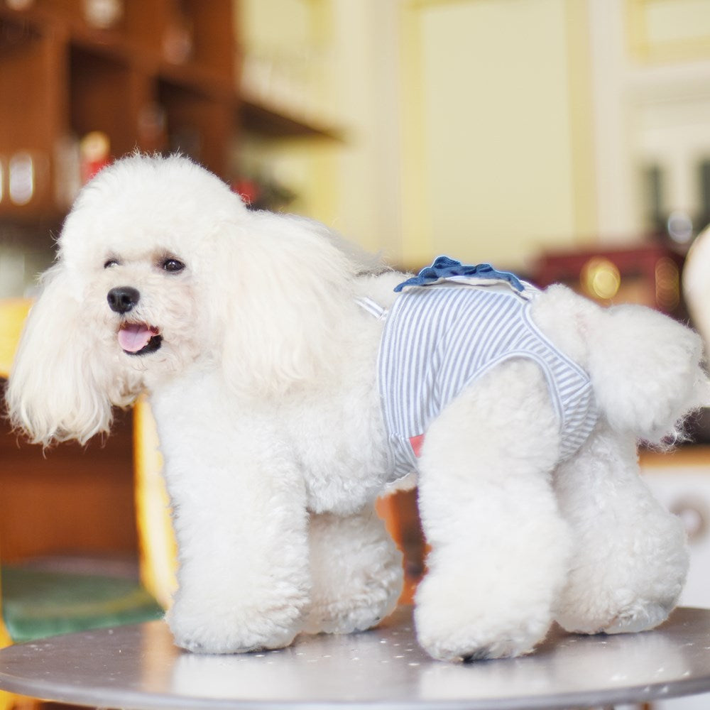 Female Dog Estrus Pants