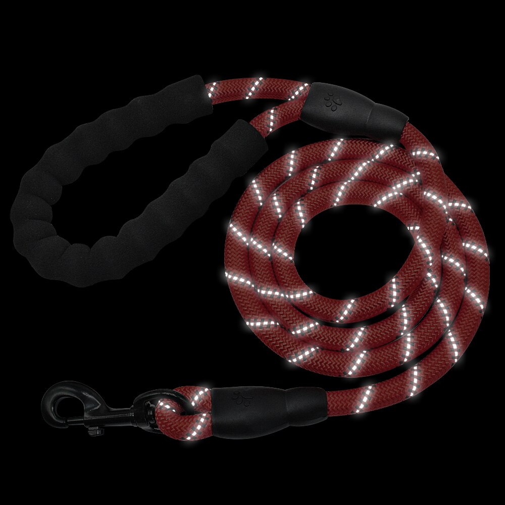 Reflective Leash