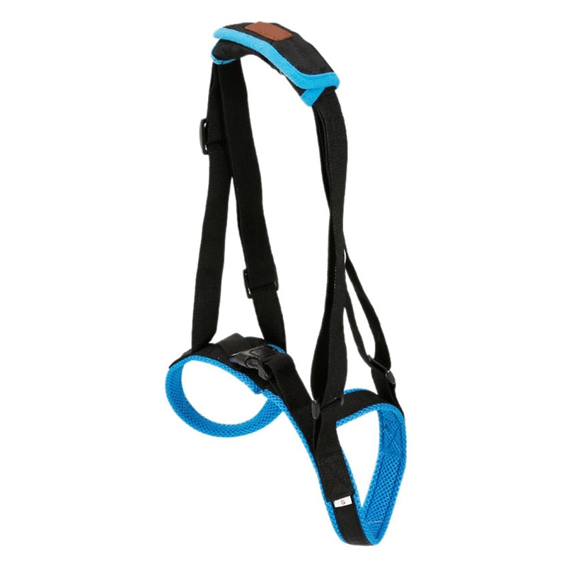 Back Leg Support Sling