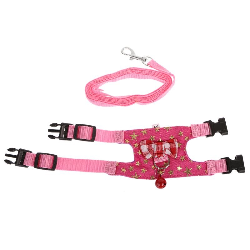 Small Animal Harness/Leash Set