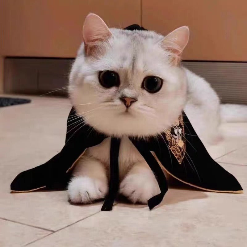 Wizard Halloween Costume