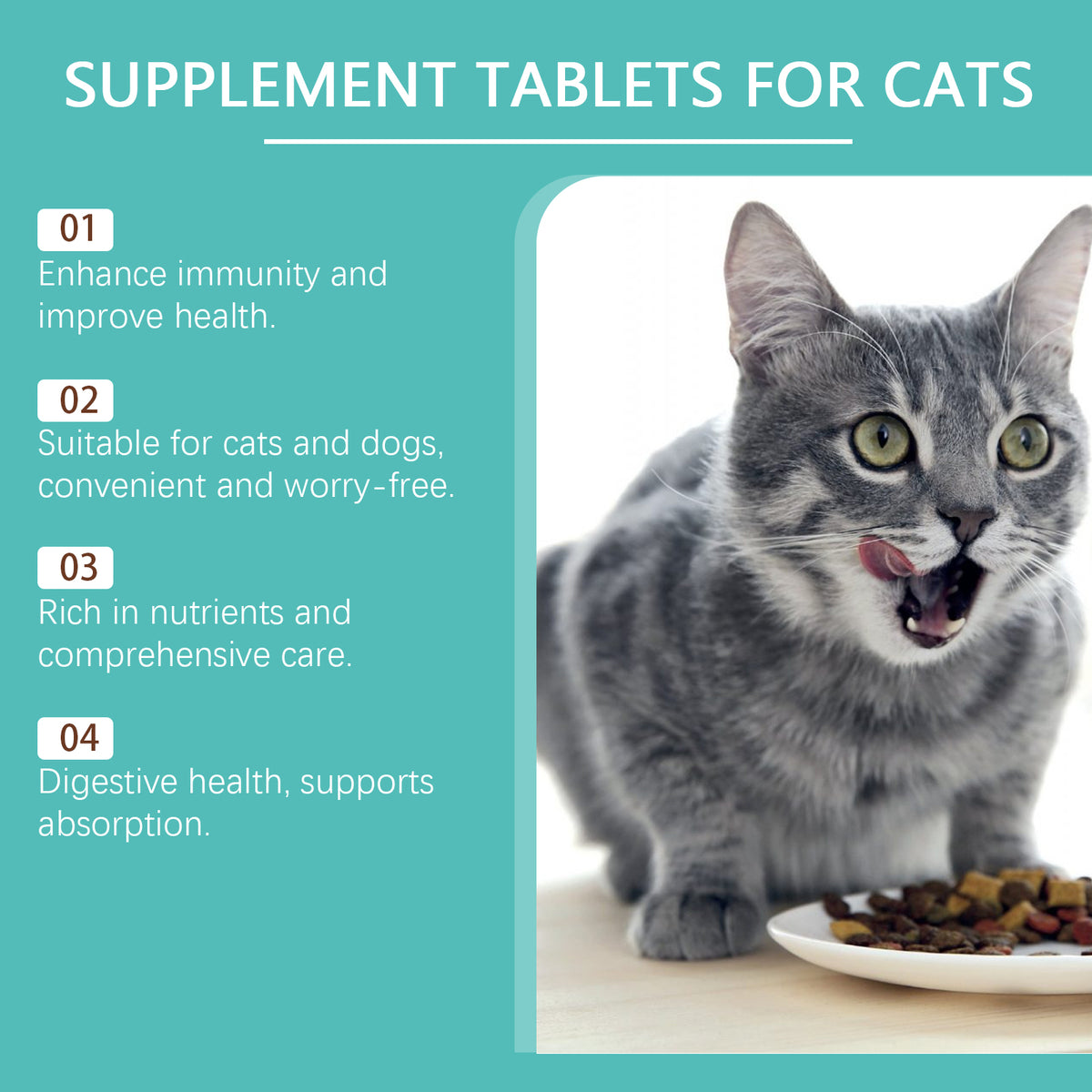 Cat Probiotic Tablets 80ct