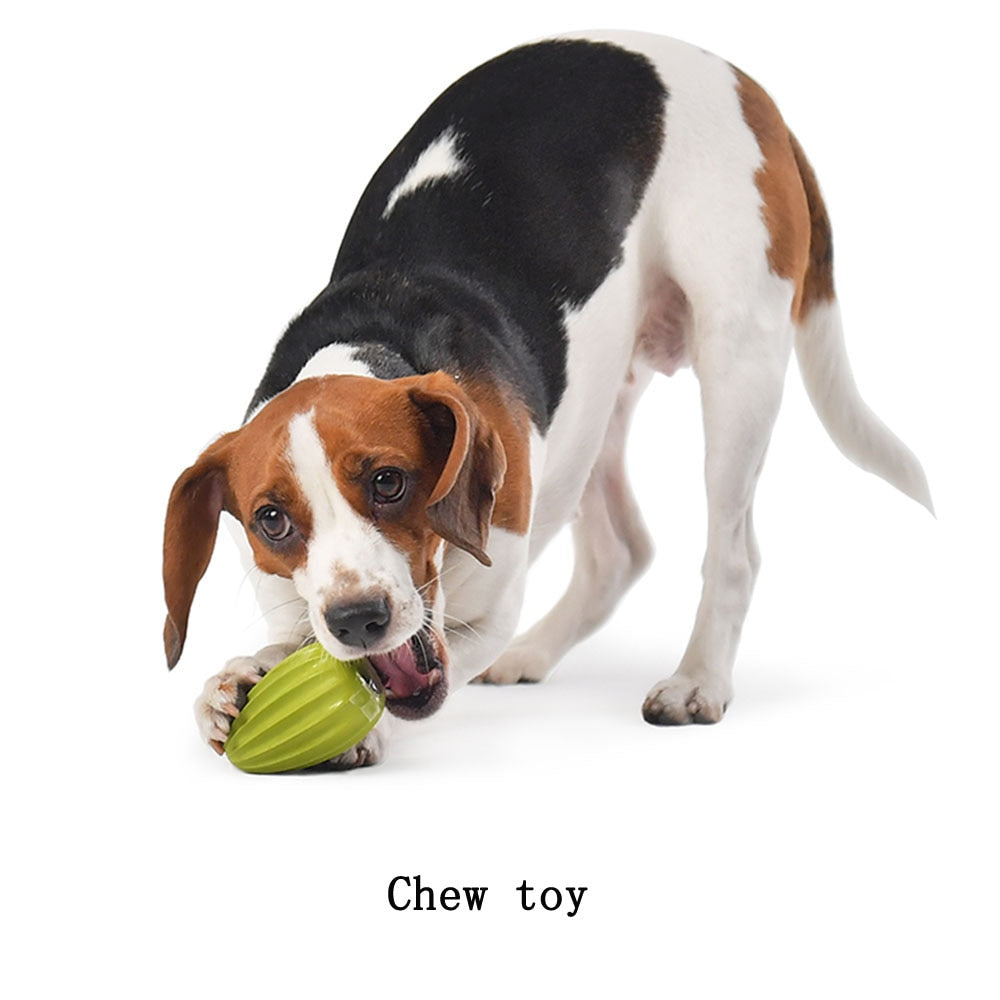 Treat Dispensing Squeaky Toy