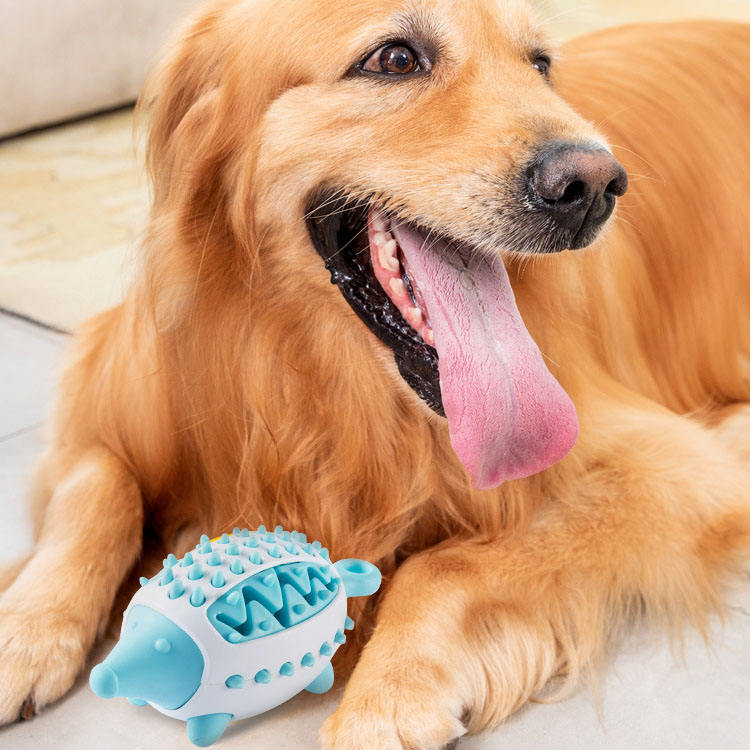 Treat Dispensing Toy