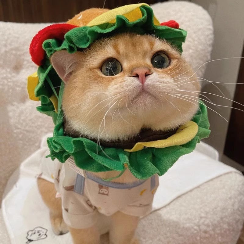 Cute Pet Hats