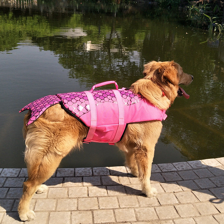Life Jacket