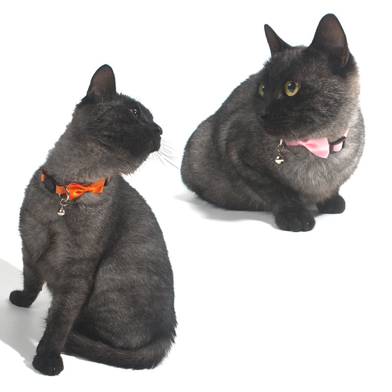 Breakaway Cat Collar