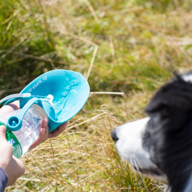 Portable Water Bottle Silicone Leaf Design