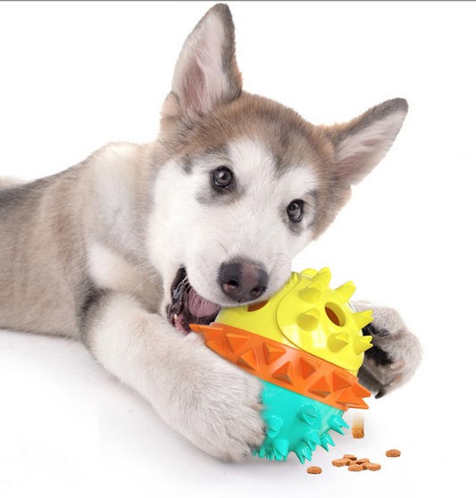 Squeaking food dispenser teether