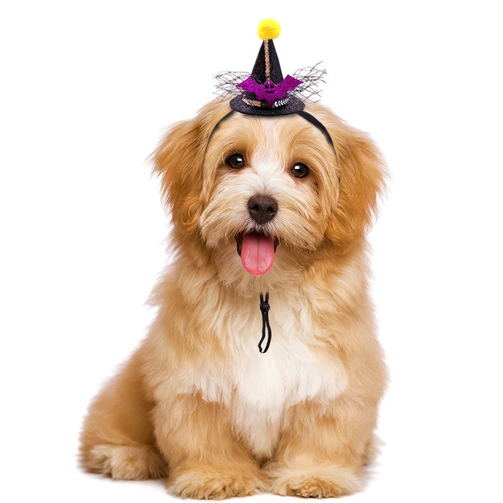 Halloween Costume Hat