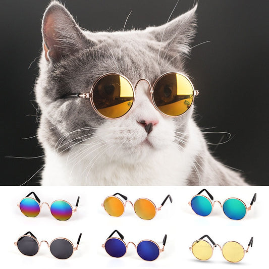 Pet Costume Glasses