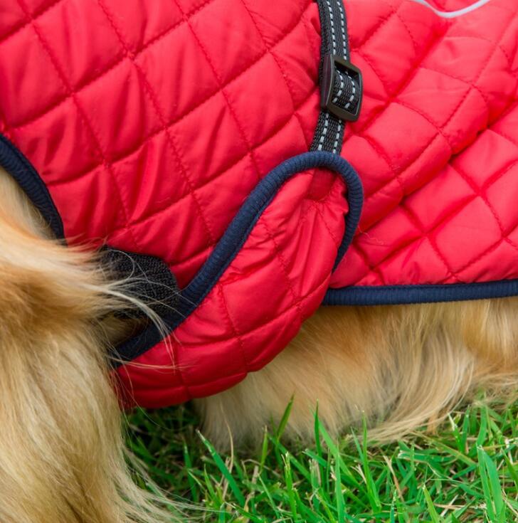 Winter Coat